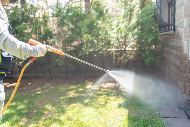 Best Pest Prevention Services  in Deforest, WI